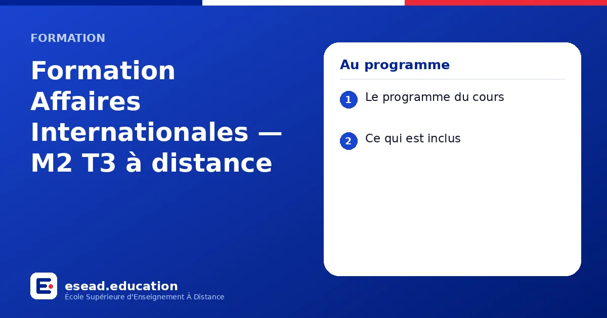 Infographie : Formation Affaires Internationales — M2 T3 à distance — 1. Le programme du cours ; 2. Ce qui est inclus