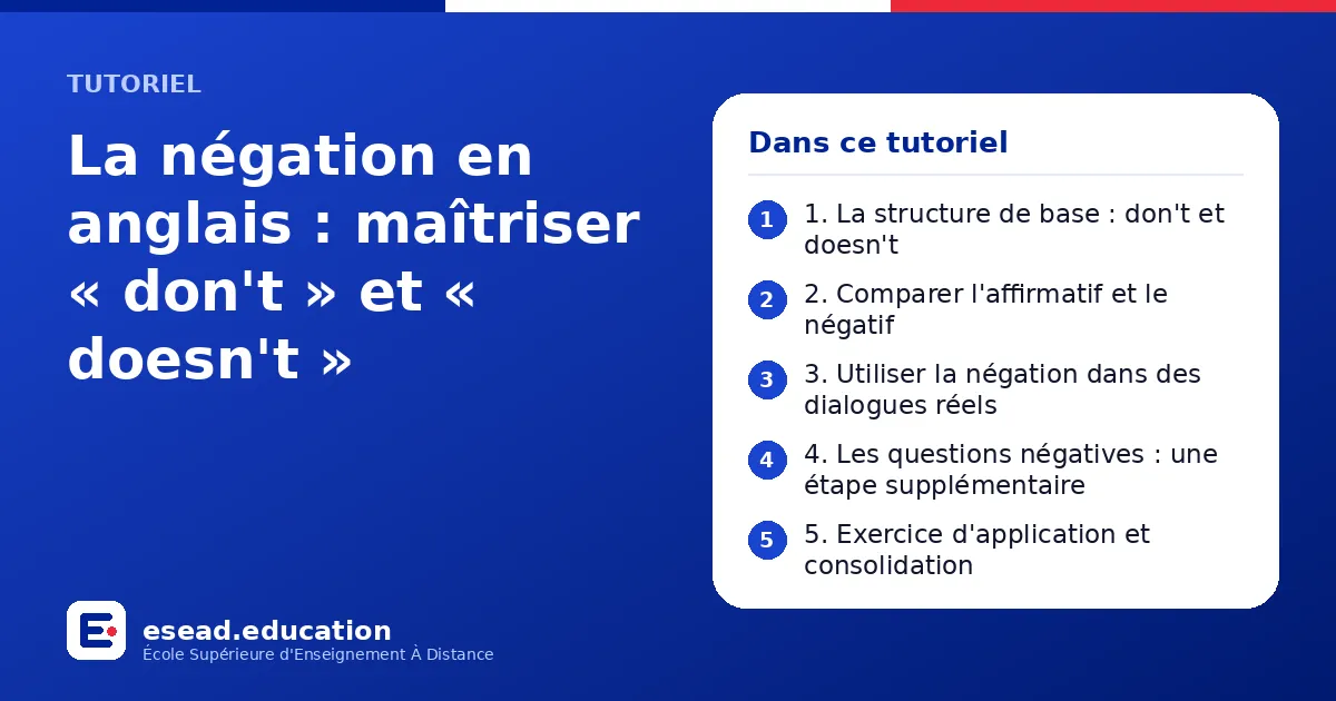 Infographie : La négation en anglais : maîtriser « don't » et « doesn't » — 1. 1. La structure de base : don't et doesn't ; 2. 2. Comparer l'affirmatif et le négatif ; 3. 3. Utiliser la négation dans des dialogues réels ; 4. 4. Les question