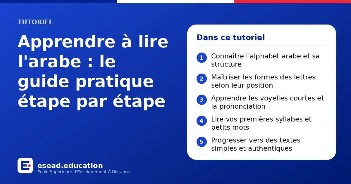 Infographie : Apprendre à lire l'arabe : le guide pratique étape par étape — 1. Connaître l'alphabet arabe et sa structure ; 2. Maîtriser les formes des lettres selon leur position ; 3. Apprendre les voyelles courtes et la prononciation ; 4
