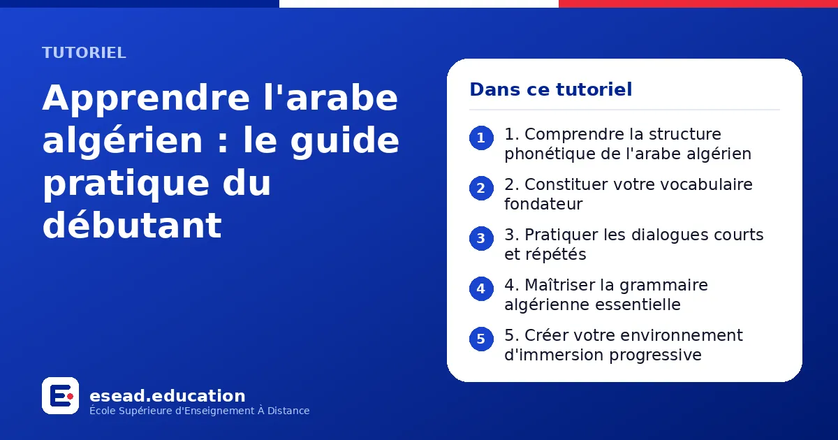 Infographie : Apprendre l'arabe algérien : le guide pratique du débutant — 1. 1. Comprendre la structure phonétique de l'arabe algérien ; 2. 2. Constituer votre vocabulaire fondateur ; 3. 3. Pratiquer les dialogues courts et répétés ; 4. 4.