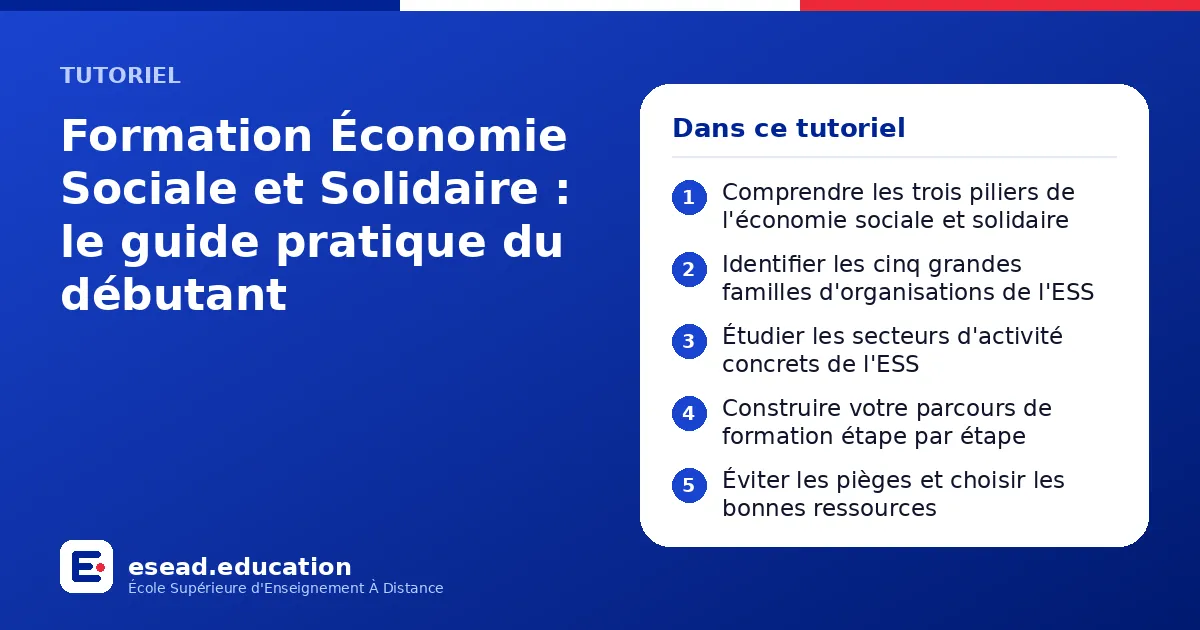 Infographie : Formation Économie Sociale et Solidaire : le guide pratique du débutant — 1. Comprendre les trois piliers de l'économie sociale et solidaire ; 2. Identifier les cinq grandes familles d'organisations de l'ESS ; 3. Étudier les s