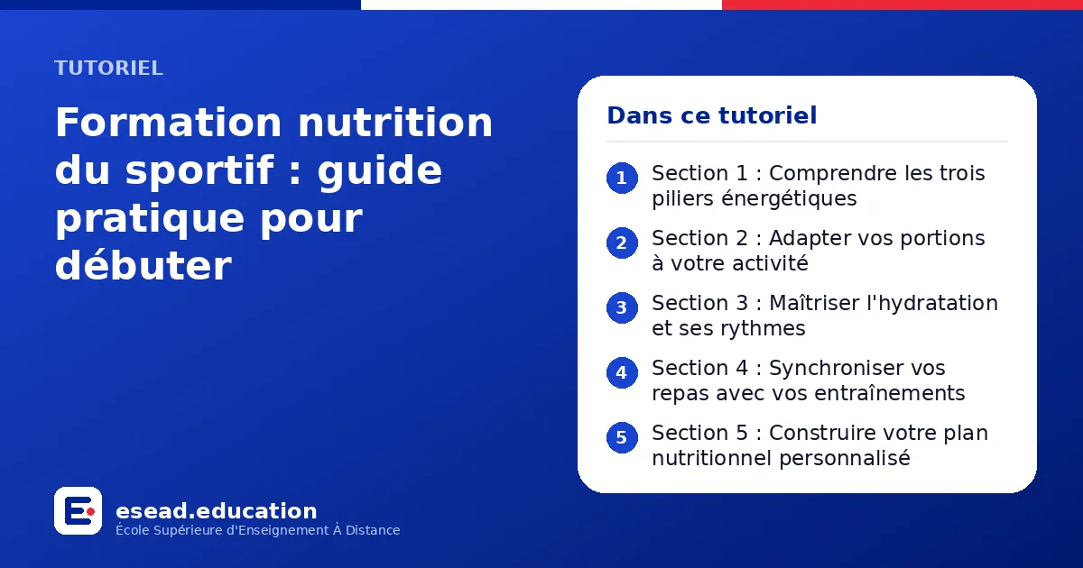 Infographie : Formation nutrition du sportif : guide pratique pour débuter — 1. Section 1 : Comprendre les trois piliers énergétiques ; 2. Section 2 : Adapter vos portions à votre activité ; 3. Section 3 : Maîtriser l'hydratation et ses ryt