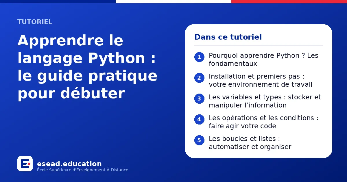 Infographie : Apprendre le langage Python : le guide pratique pour débuter — 1. Pourquoi apprendre Python ? Les fondamentaux ; 2. Installation et premiers pas : votre environnement de travail ; 3. Les variables et types : stocker et manipul