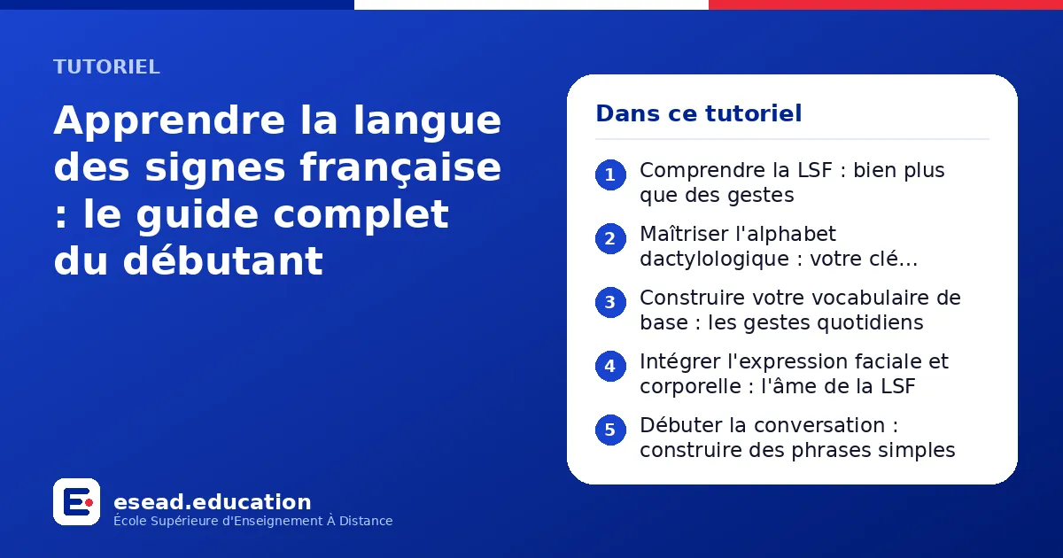 Infographie : Apprendre la langue des signes française : le guide complet du débutant — 1. Comprendre la LSF : bien plus que des gestes ; 2. Maîtriser l'alphabet dactylologique : votre clé d'entrée ; 3. Construire votre vocabulaire de base 